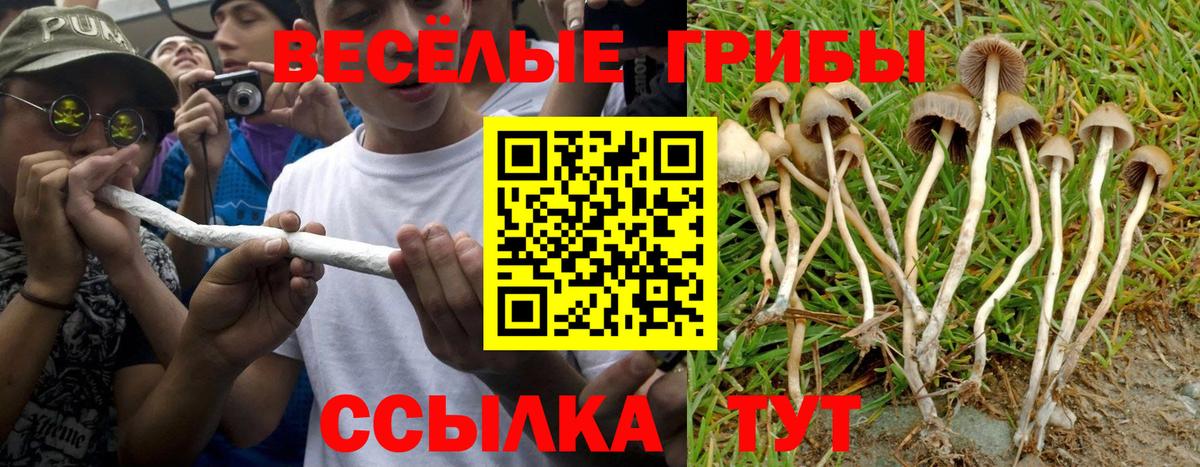 Псилоцибиновые грибы ЛСД  Вход с VPN  Павлово 