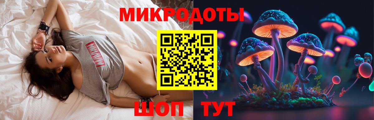 Псилоцибиновые грибы Cubensis Павлово